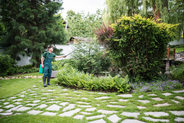 Best Commercial Pest Control Services  in Somerville, MA