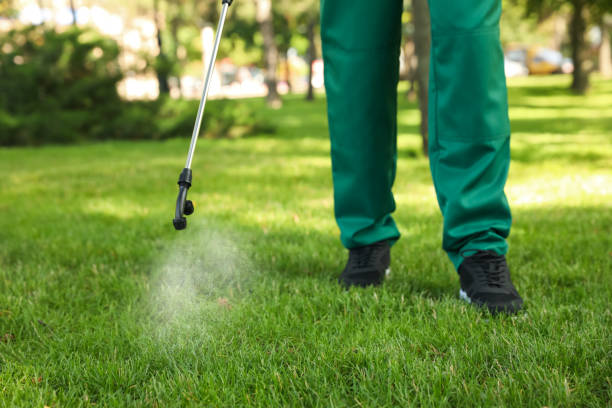 Pest Prevention Services in Somerville, MA
