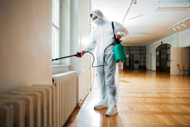  Somerville, MA Pest Control Pros