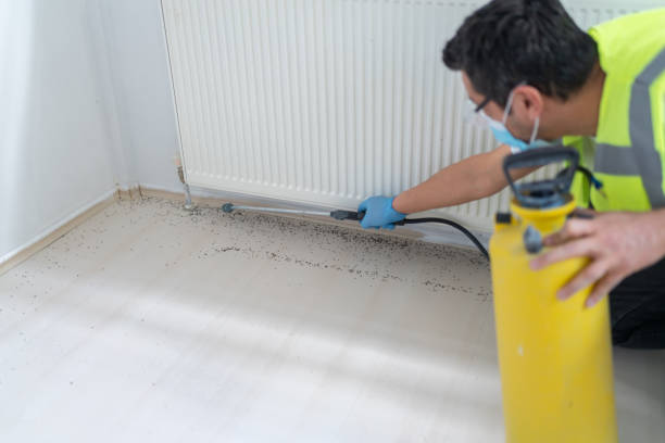 Best Affordable Pest Control Services  in Somerville, MA